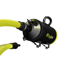 Last inn bildet i Galleri-visningsprogrammet, BigBoi BlowR Mini - Lufttørker